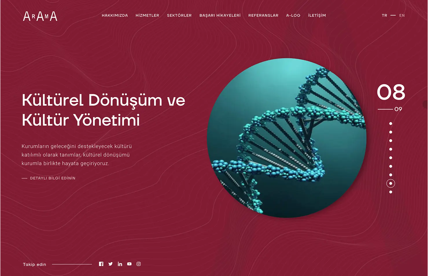 Arama Danışmanlık Website Ekran Görüntüsü